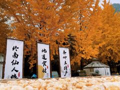 -西安祥峪森林公园