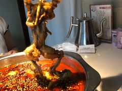 牛蛙-宽口美蛙鱼头(大唐西市店)