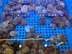 -晶渔坊·海鲜私房菜(东夷小镇店)