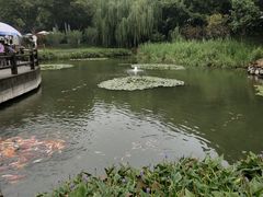 -天目湖山水园