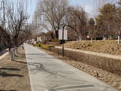 -元大都城垣遗址公园