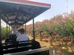 -武汉紫薇都市田园