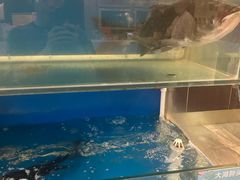 -上地宴·中关村的会客厅(清河高铁站店)