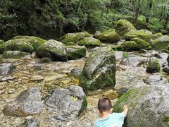 -牛背梁国家森林公园
