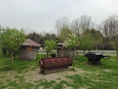 -溱湖国家湿地公园