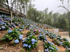 -莫干山风景区