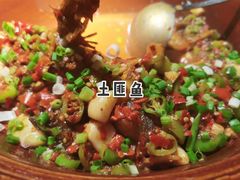 -湘西土菜(望京店)