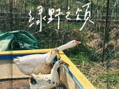 -金稼园·金平湖农家菜