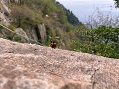 -泰山风景名胜区