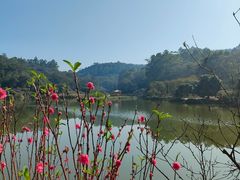 -南国桃园旅游度假区