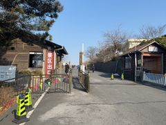 -江南天池