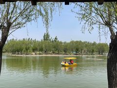 -杨柳青庄园
