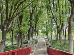 -美兰湖景区