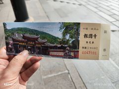 -峨眉山报国寺