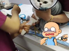 -宠颐生动物医院·心脏科·保险定点(锦阳分院)