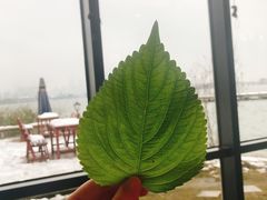 -青鹤谷(苏州店)