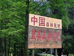 -武陵山森林公园