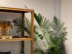 -和雅集素斋(景区店)