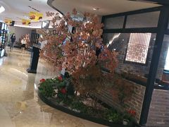 -江渔兒酸菜魚專門店(顺盈时代广场店)