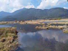 -腾冲北海湿地
