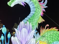 -花博汇(知音花月夜)