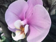 -北京植物园-展览温室