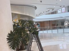 -苏小柳点心·手作小笼包(虹桥天地分院)