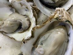 -大富蚝乌东哥饭店·石锅鱼杂·柠檬鸭(革新路店)