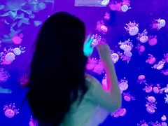 -石家庄极地海洋世界