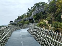 -福道