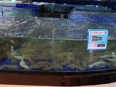 -亚龙湾亚泰商业街