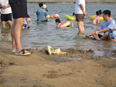 -碧海金沙