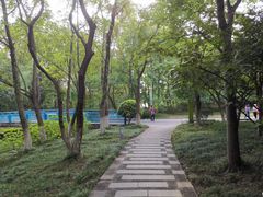 -青枫公园