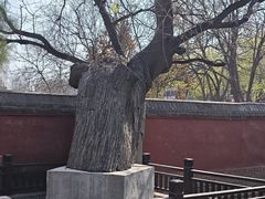 -天宁寺