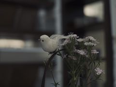 -扫雪煮茶(西村店)
