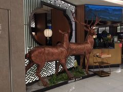 -新白鹿餐厅(虹桥南丰城店)