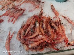 -半岛听涛蒸汽海鲜自助(K11店)