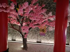 -蓝鲸湾汤泉(包河店)