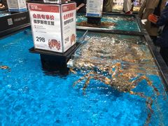 -盒马鲜生(曜一城店)