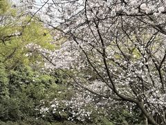 -中国茶叶博物馆(双峰馆区)