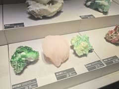 -河南自然博物馆