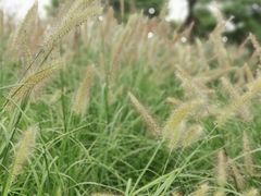 -上海滴水湖皇冠假日酒店
