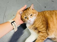 -蓝天射箭馆·专业射箭运动(诚丰广场店)