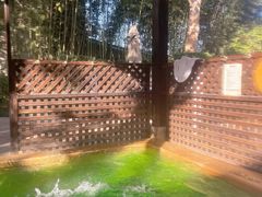 -春晖园度假酒店温泉