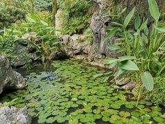 -中国茶叶博物馆(双峰馆区)
