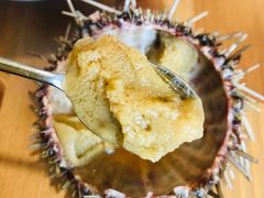 -海胆小馆(东北水饺·春柳店)