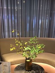 点击看大图 -美壹生皮肤管理中心