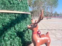 -深圳湾万象城(南山店)