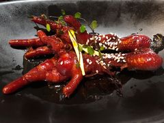 -桂满陇天书(南京德基旗舰店)