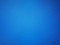 -陈胖子鱼庄(黄辣丁新津店)